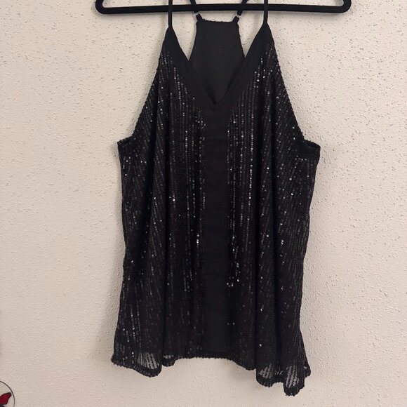 Top de Lentejuelas Negro con Escote en V (Black Sequin V-Neck Sleeveless Top) - Picture 1 of 8